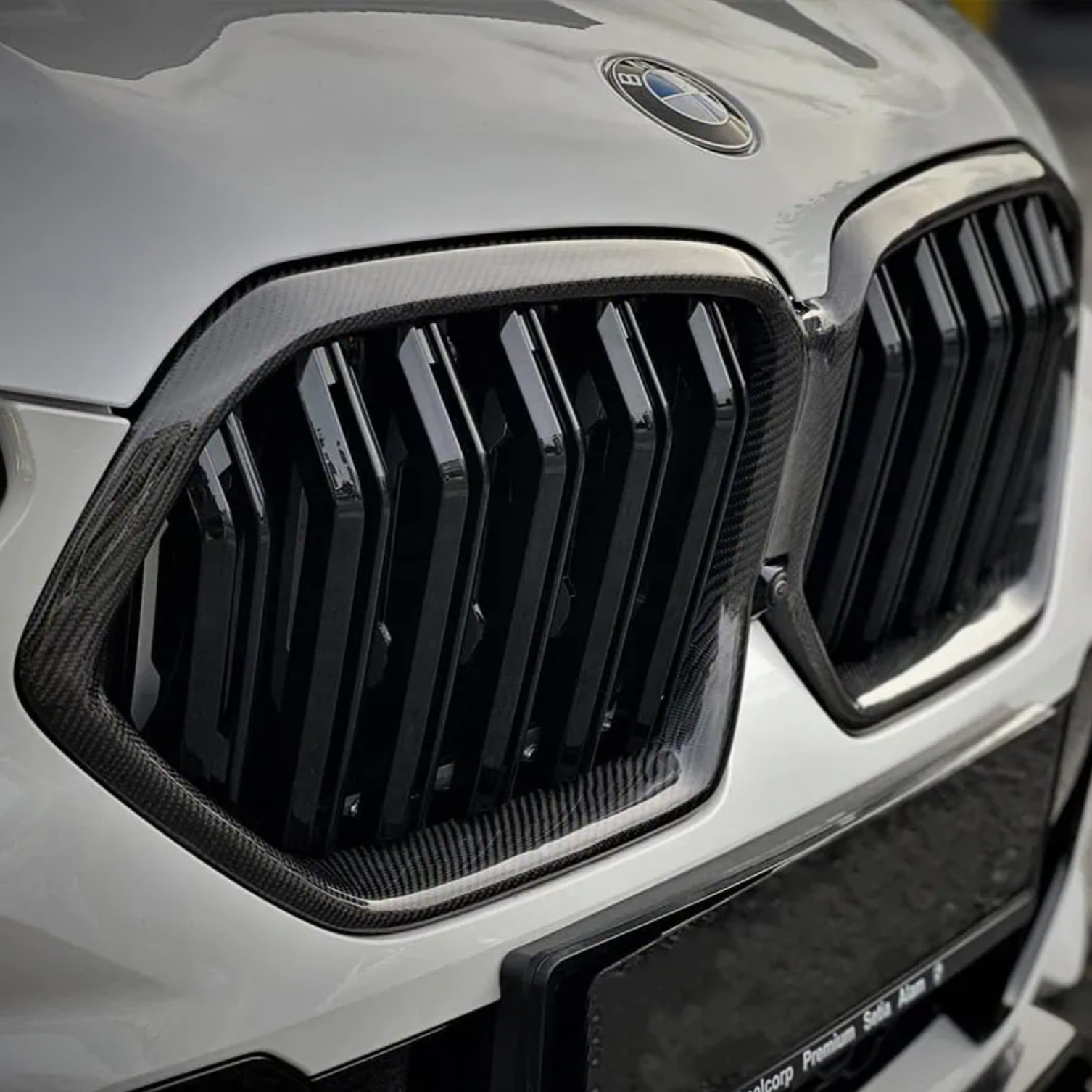 BMW X6 & X6M G06 F96 Carbon Fibre Double Slat Front Grills (2019-2022)
